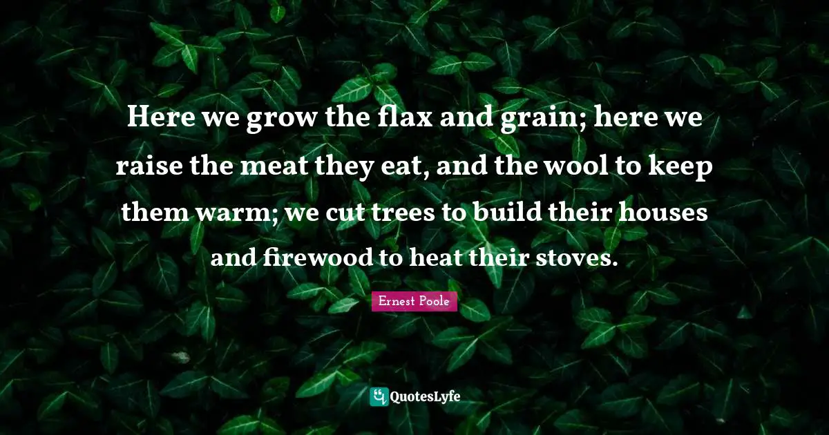 Here we grow the flax and grain; here we raise the meat they eat, and the wool to keep them warm; we cut trees to build their houses and firewood to heat their stoves.