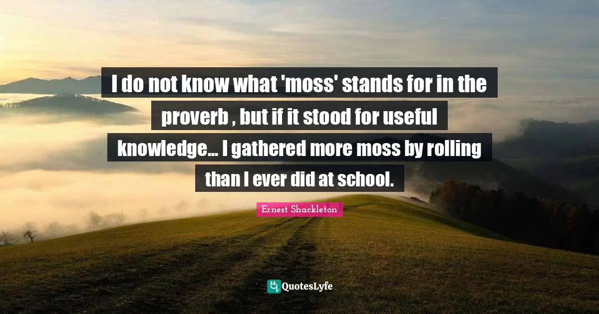 I do not know what 'moss' stands for in the proverb , but if it stood for useful knowledge... I gathered more moss by rolling than I ever did at school.