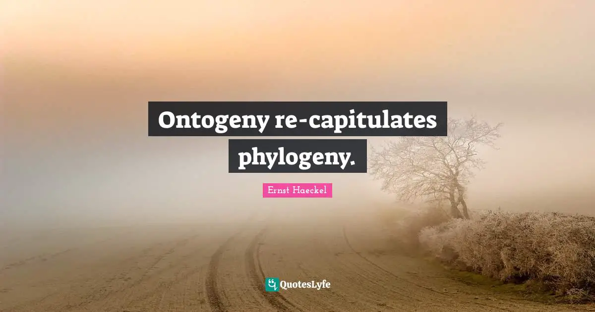 Ontogeny re-capitulates phylogeny.
