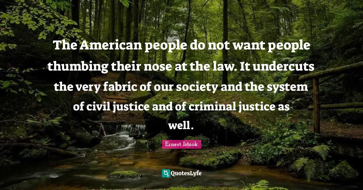 The American people do not want people thumbing their nose at the law. It undercuts the very fabric of our society and the system of civil justice and of criminal justice as well.