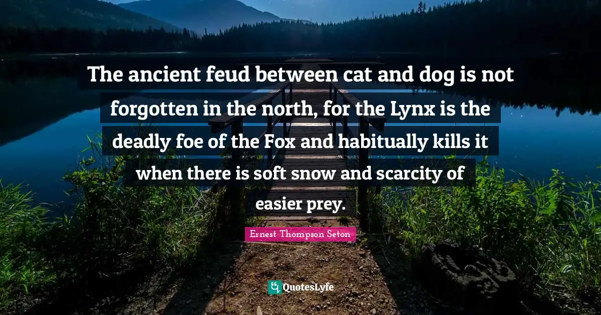The ancient feud between cat and dog is not forgotten in the north, for the Lynx is the deadly foe of the Fox and habitually kills it when there is soft snow and scarcity of easier prey.