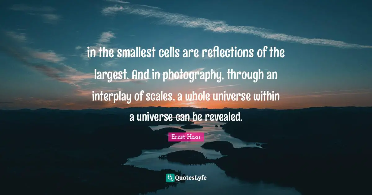 in the smallest cells are reflections of the largest. And in photography, through an interplay of scales, a whole universe within a universe can be revealed.