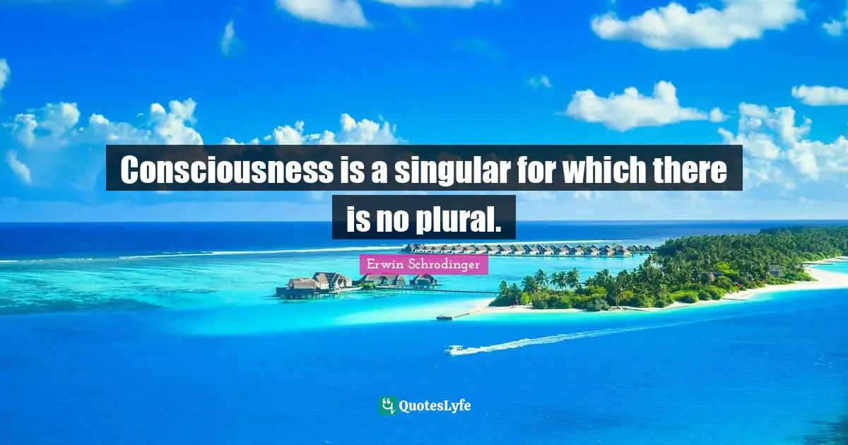 Erwin Schrodinger Quotes: "Consciousness is a singular for which there is no plural."