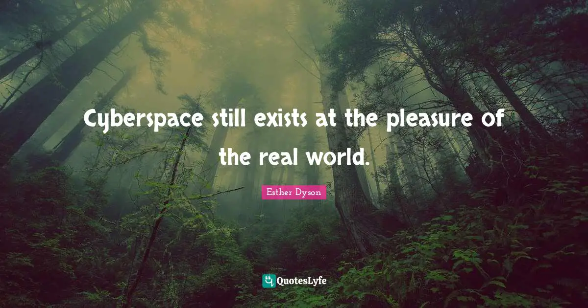 Cyberspace Quotes: "Cyberspace still exists at the pleasure of the real world."
