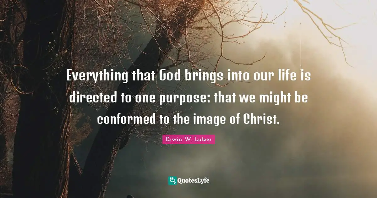 Everything that God brings into our life is directed to one purpose: that we might be conformed to the image of Christ.