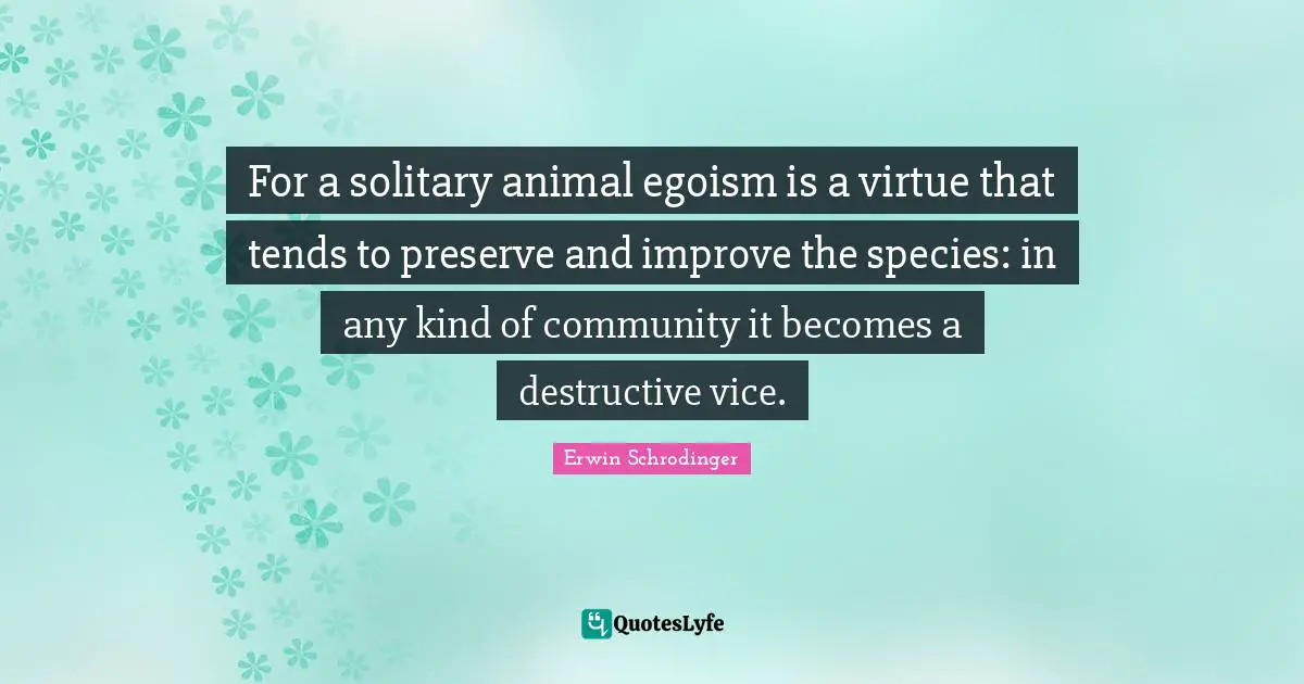 Erwin Schrodinger Quotes: "For a solitary animal egoism is a virtue that tends to preserve and improve the species: in any kind of community it becomes a destructive vice."
