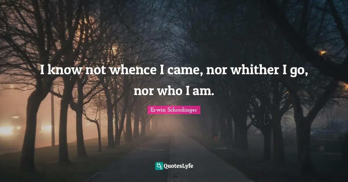 Erwin Schrodinger Quotes: "I know not whence I came, nor whither I go, nor who I am."