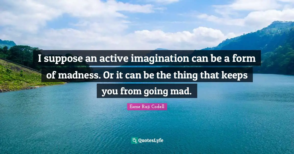 I suppose an active imagination can be a form of madness. Or it can be the thing that keeps you from going mad.