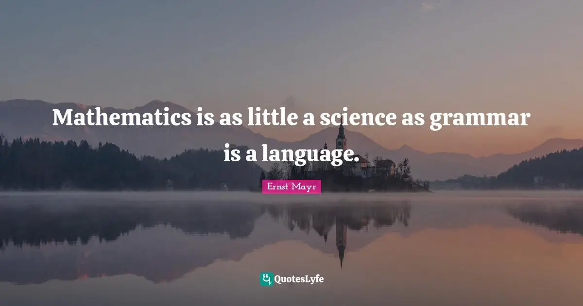 Mathematics is as little a science as grammar is a language.