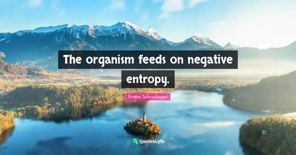 Erwin Schrodinger Quotes: "The organism feeds on negative entropy."