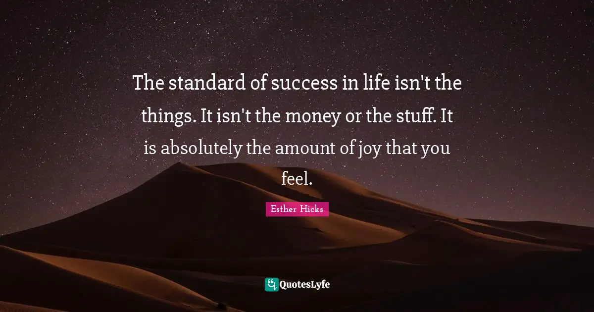 Success In Life Quotes: "The standard of success in life isn't the things. It isn't the money or the stuff. It is absolutely the amount of joy that you feel."