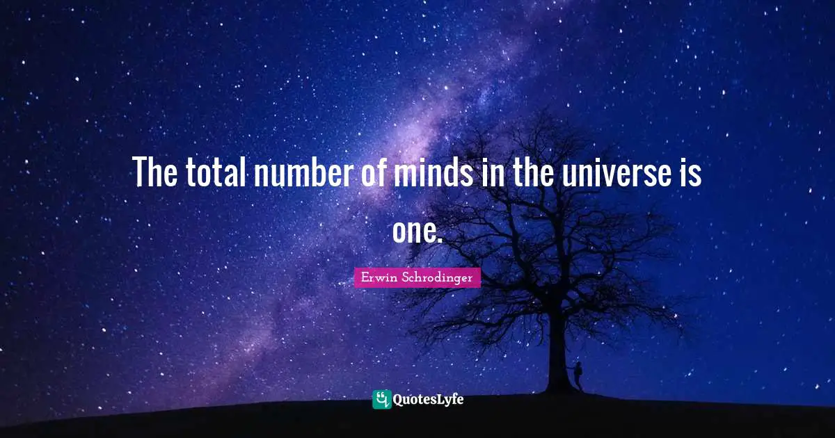 Erwin Schrodinger Quotes: "The total number of minds in the universe is one."