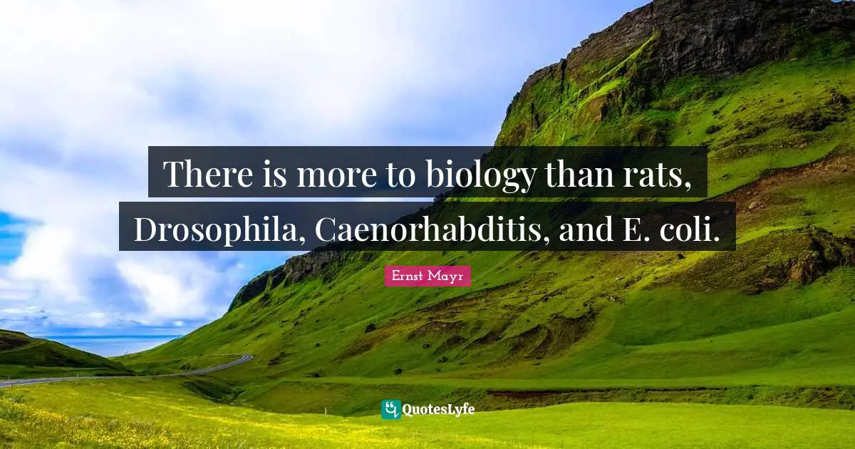 There is more to biology than rats, Drosophila, Caenorhabditis, and E. coli.