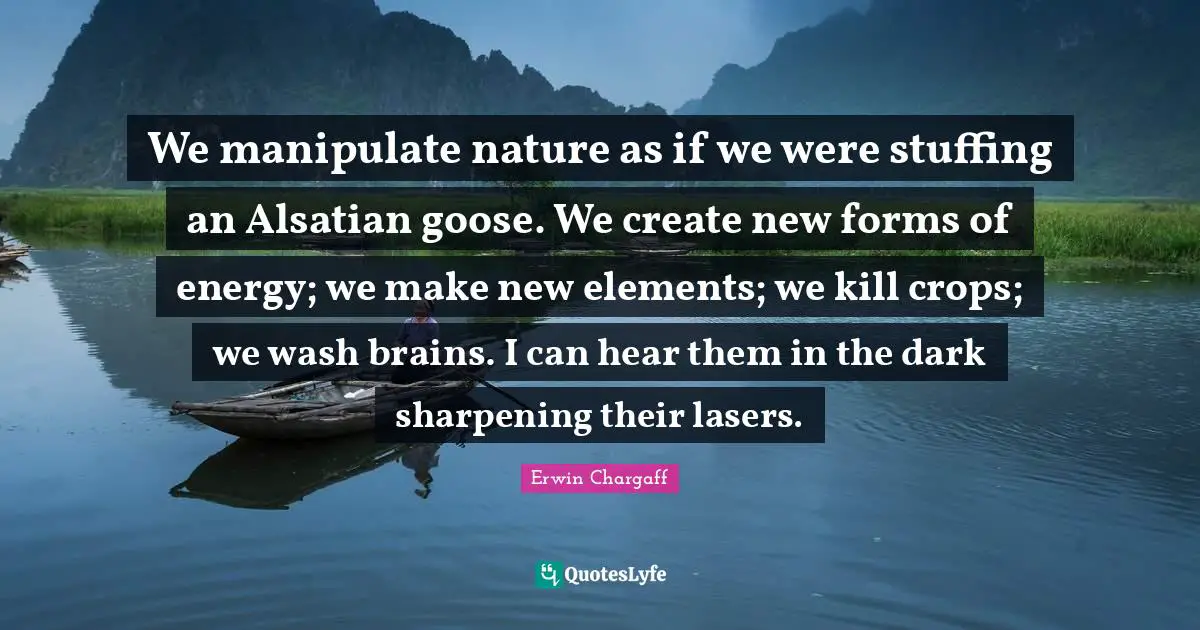 We manipulate nature as if we were stuffing an Alsatian goose. We create new forms of energy; we make new elements; we kill crops; we wash brains. I can hear them in the dark sharpening their lasers.