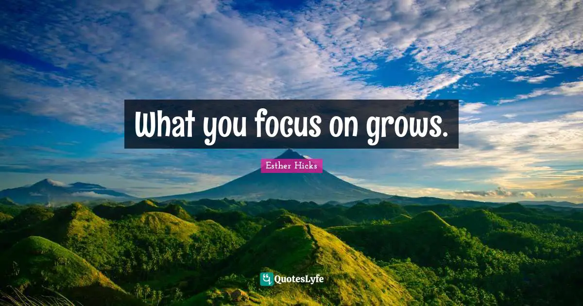 What you focus on grows.
