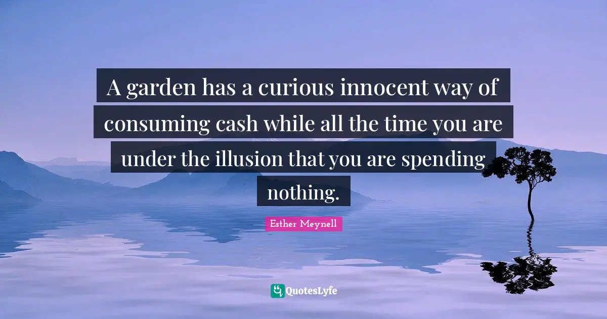 A garden has a curious innocent way of consuming cash while all the time you are under the illusion that you are spending nothing.