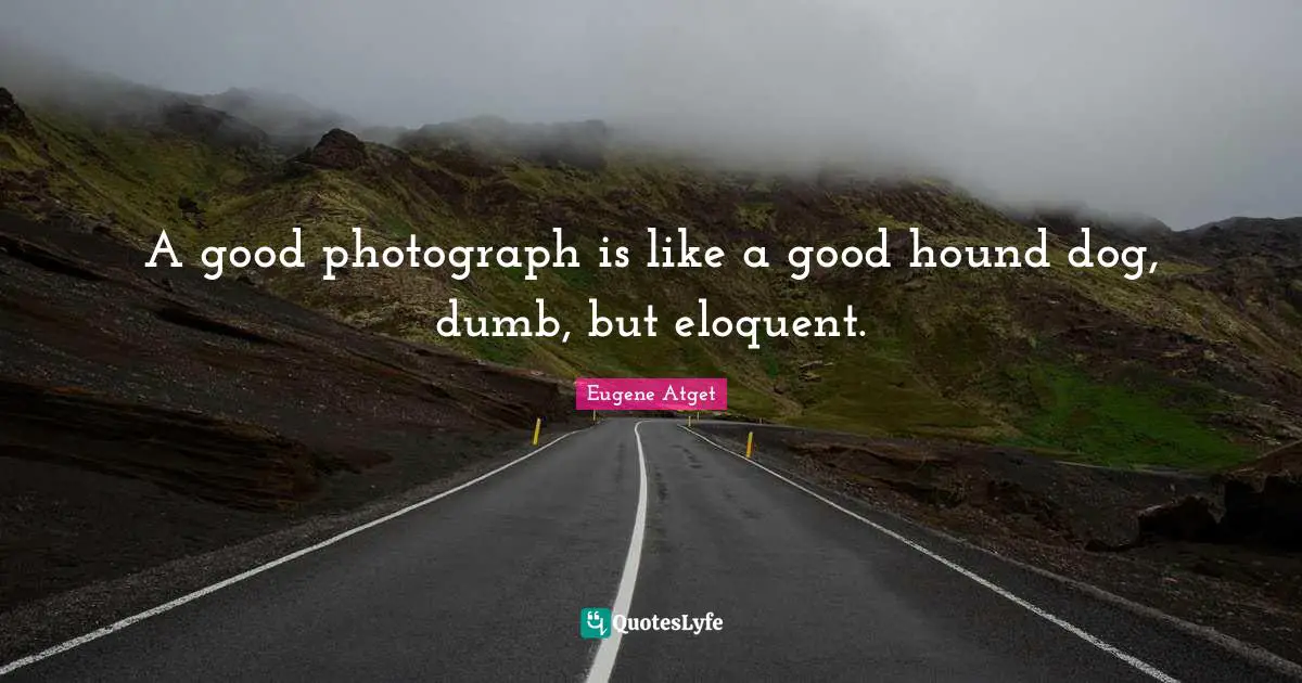 Eloquent Quotes: "A good photograph is like a good hound dog, dumb, but eloquent."