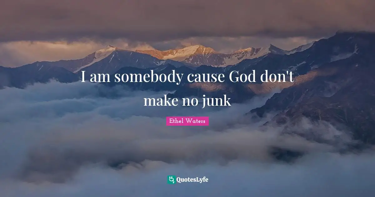 I am somebody cause God don't make no junk