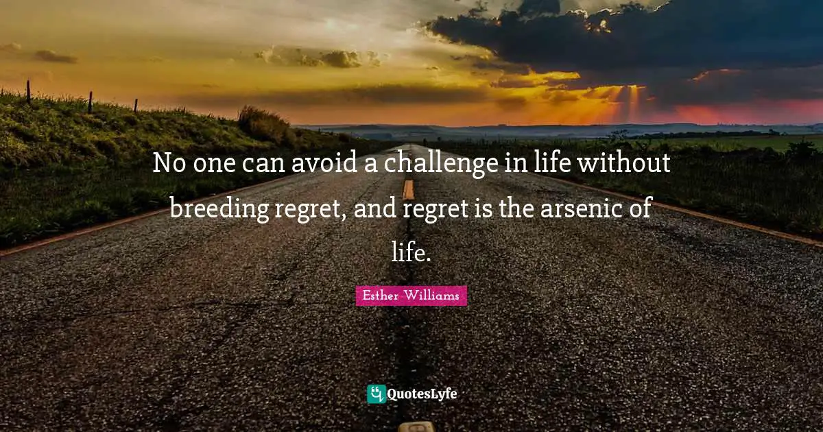 No one can avoid a challenge in life without breeding regret, and regret is the arsenic of life.