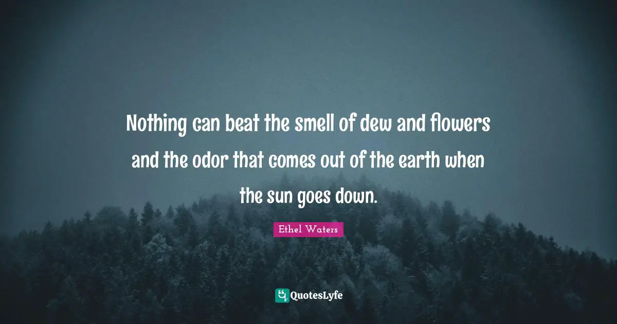 Nothing can beat the smell of dew and flowers and the odor that comes out of the earth when the sun goes down.
