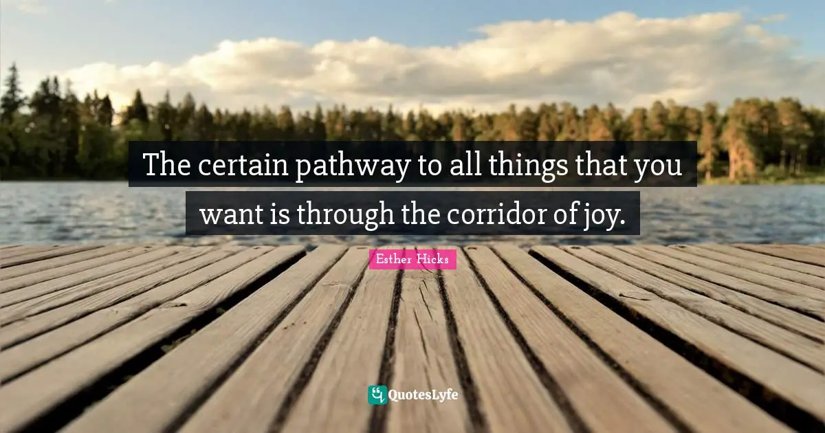 The certain pathway to all things that you want is through the corridor of joy.
