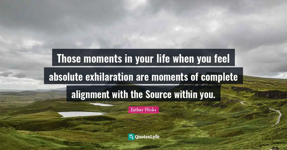 Those moments in your life when you feel absolute exhilaration are moments of complete alignment with the Source within you.