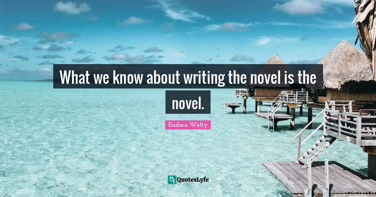 What we know about writing the novel is the novel.