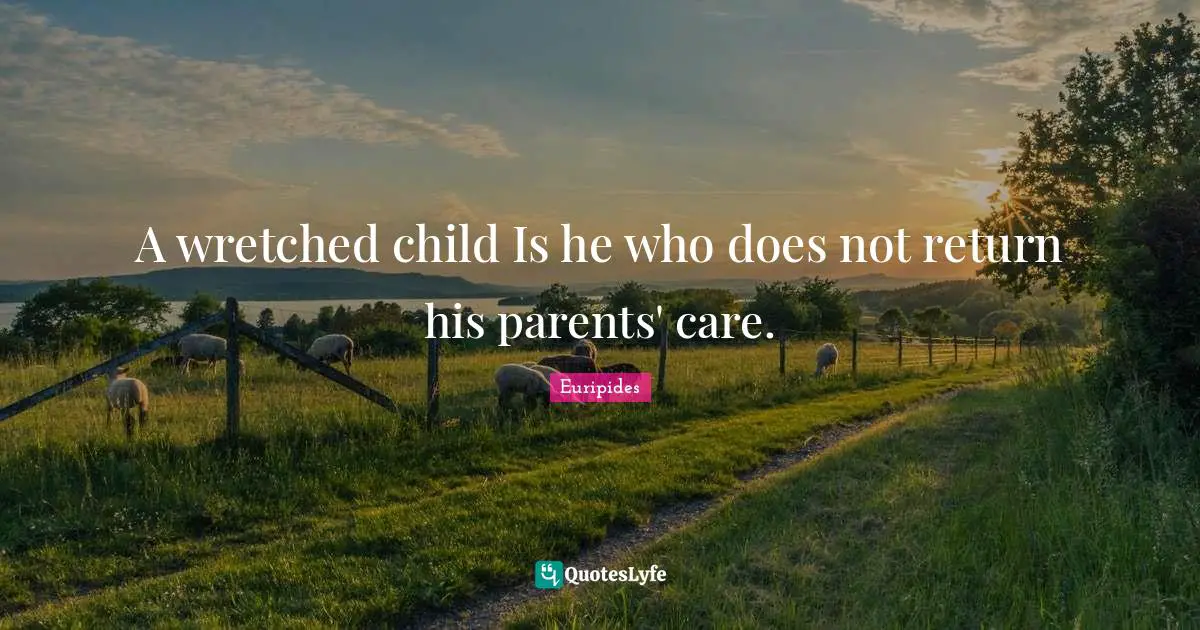 A wretched child Is he who does not return his parents' care.