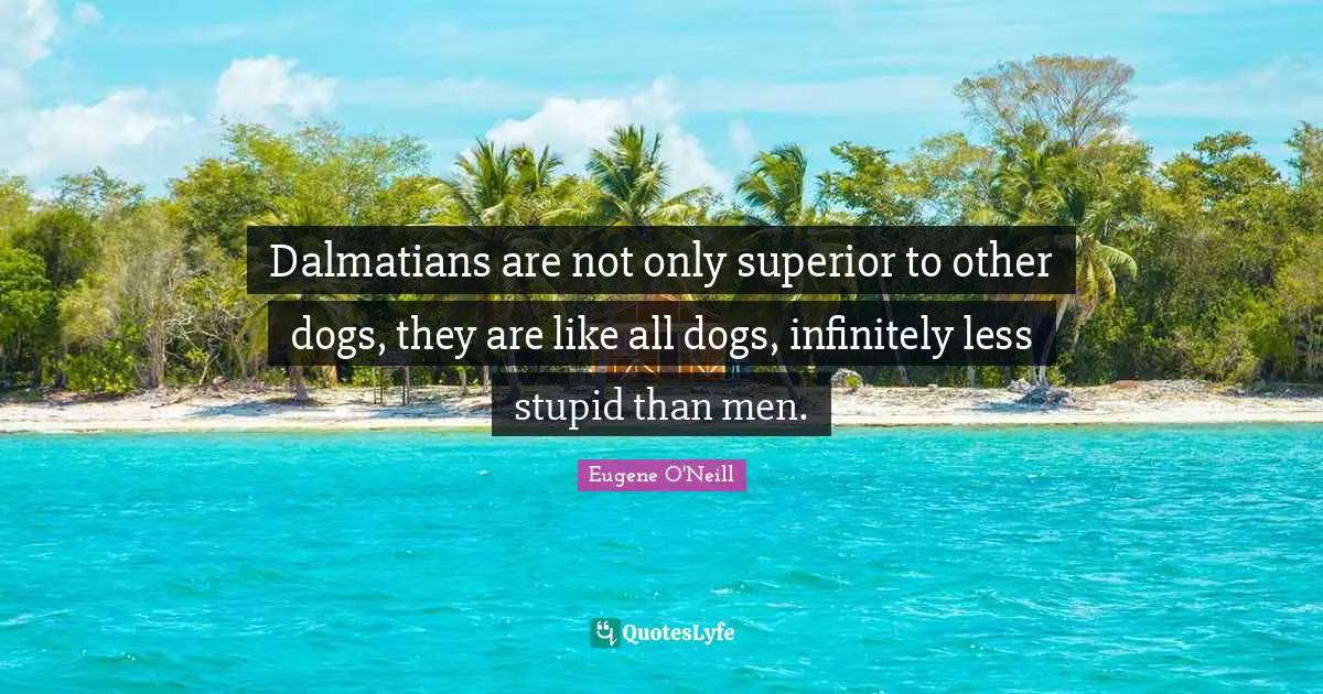 Dalmatians are not only superior to other dogs, they are like all dogs, infinitely less stupid than men.