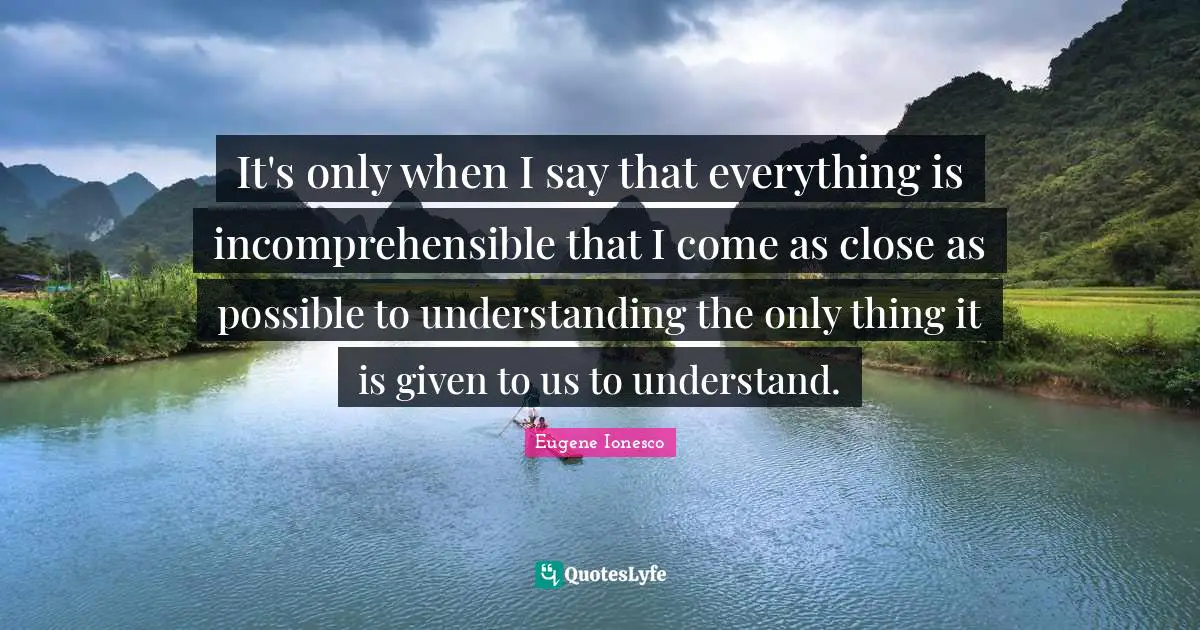 It's only when I say that everything is incomprehensible that I come as close as possible to understanding the only thing it is given to us to understand.