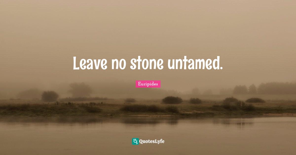 Leave no stone untamed.