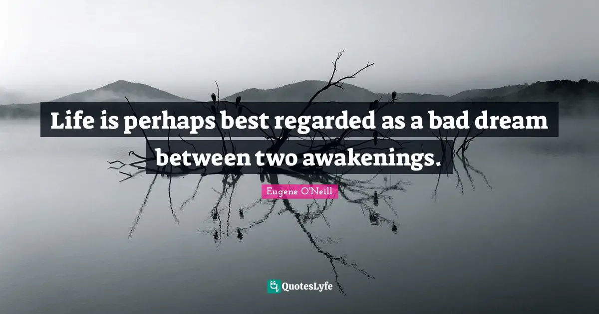 Life is perhaps best regarded as a bad dream between two awakenings.