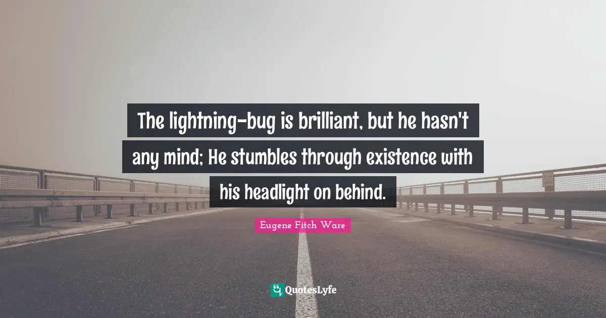 The lightning-bug is brilliant, but he hasn't any mind; He stumbles through existence with his headlight on behind.