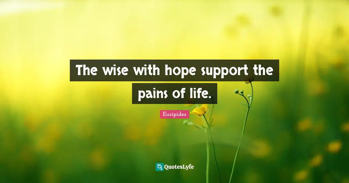 The wise with hope support the pains of life.