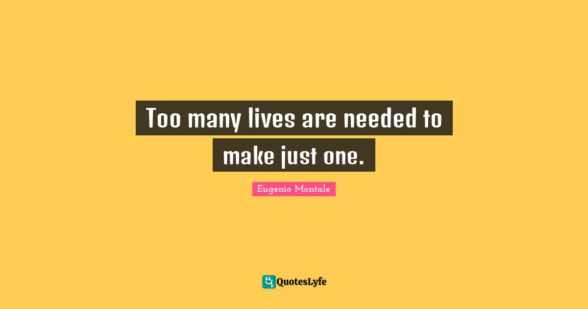Too many lives are needed to make just one.