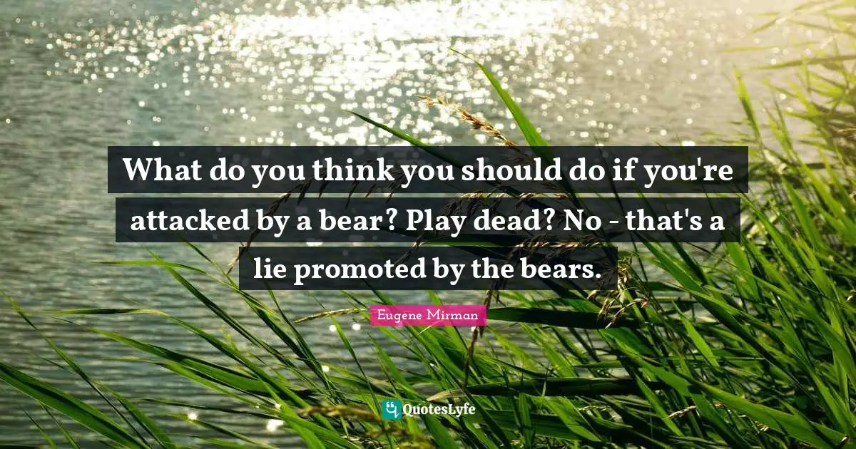Eugene Mirman Quotes: "What do you think you should do if you're attacked by a bear? Play dead? No - that's a lie promoted by the bears."