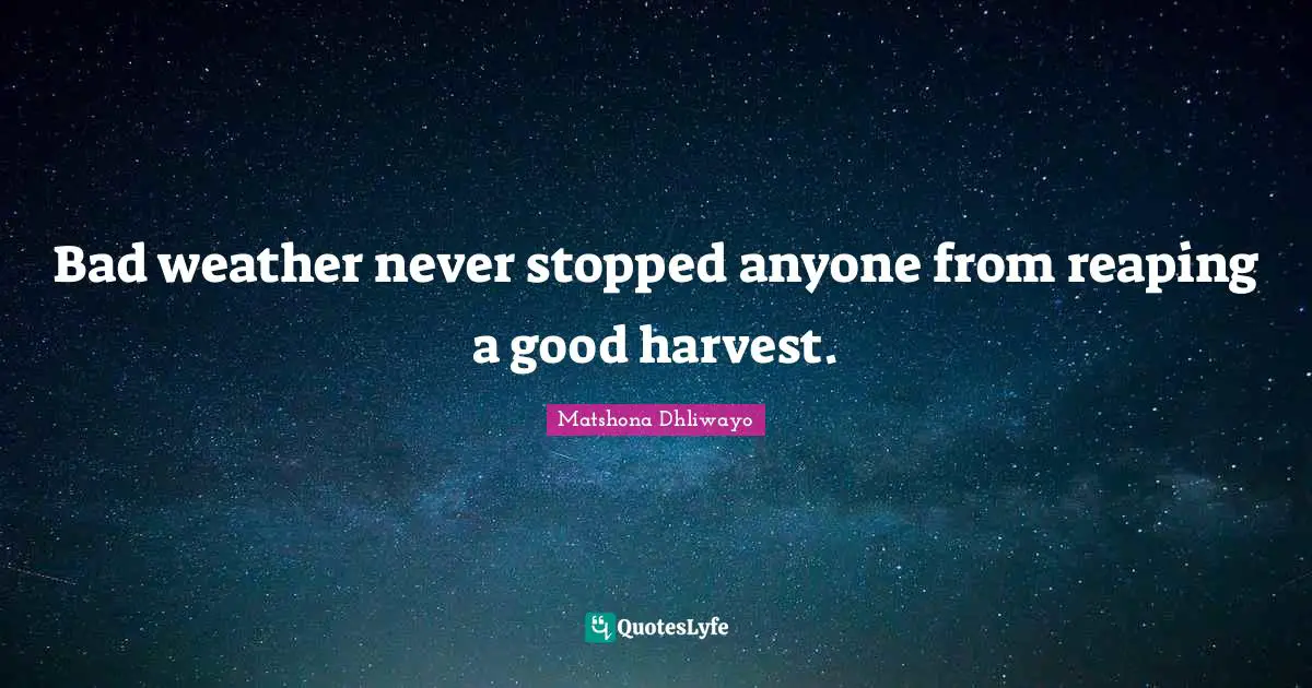 Matshona Dhliwayo Quotes: Bad weather never stopped anyone from reaping a good harvest.