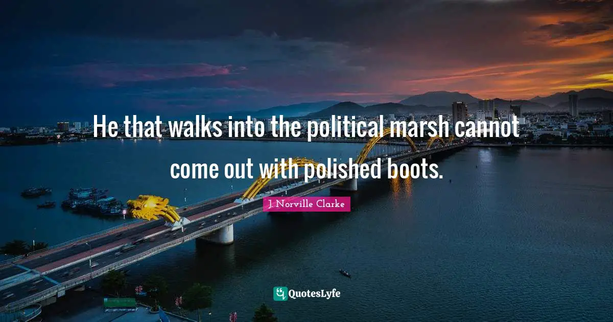 He that walks into the political marsh cannot come out with polished boots.