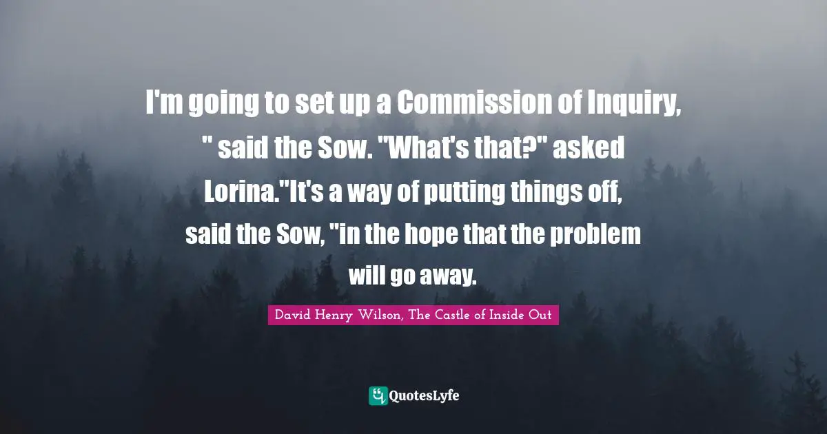 I'm going to set up a Commission of Inquiry, " said the Sow. "What's that?" asked Lorina."It's a way of putting things off, said the Sow, "in the hope that the problem will go away.