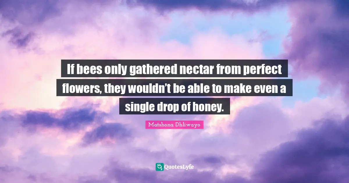 If bees only gathered nectar from perfect flowers, they wouldn’t be able to make even a single drop of honey.