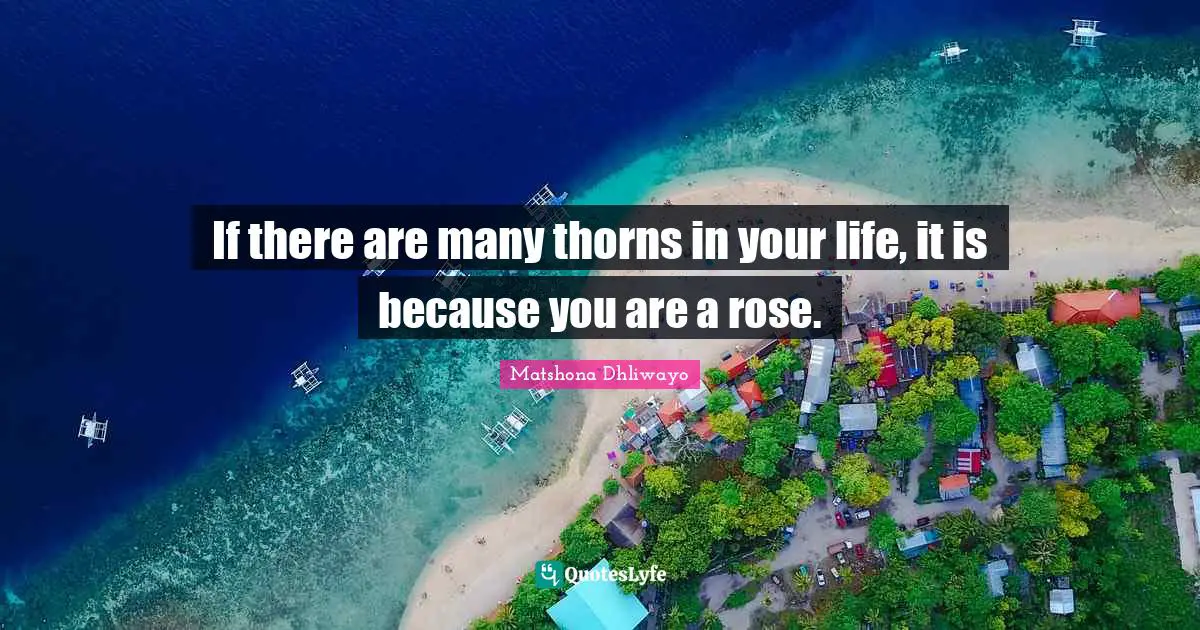 If there are many thorns in your life, it is because you are a rose.