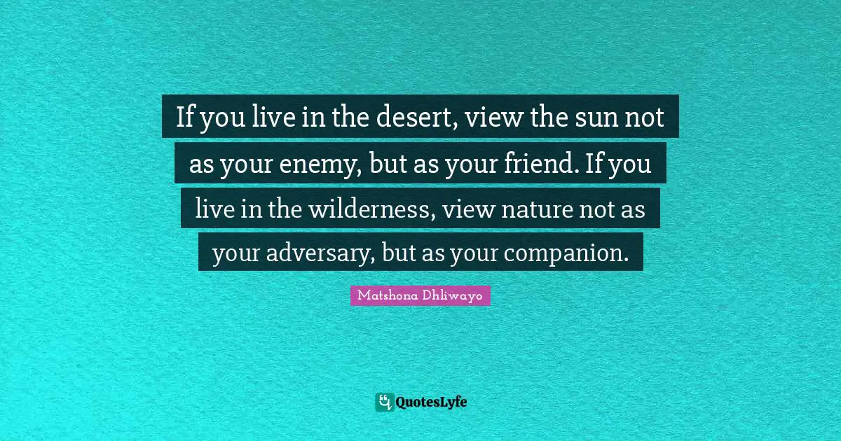 Matshona Dhliwayo Quotes: If you live in the desert, view the sun not as your enemy, but as your friend. If you live in the wilderness, view nature not as your adversary, but as your companion.
