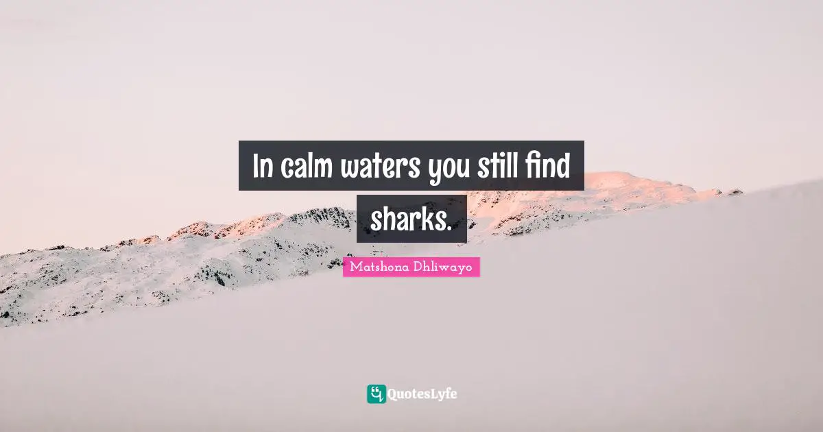 In calm waters you still find sharks.