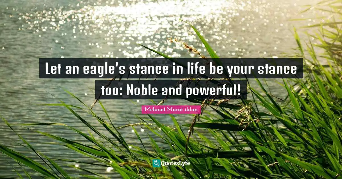 Mehmet Murat ildan Quotes: Let an eagle's stance in life be your stance too: Noble and powerful!