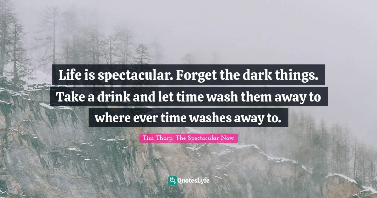 Life Experience Quotes: "Life is spectacular. Forget the dark things. Take a drink and let time wash them away to where ever time washes away to."