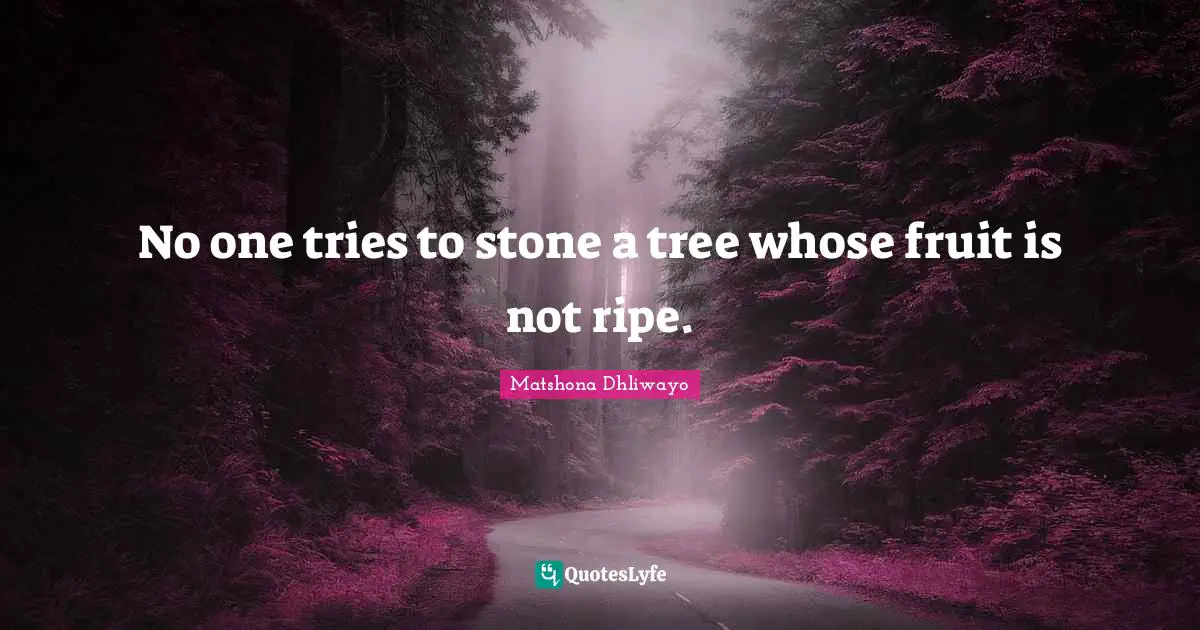 No one tries to stone a tree whose fruit is not ripe.