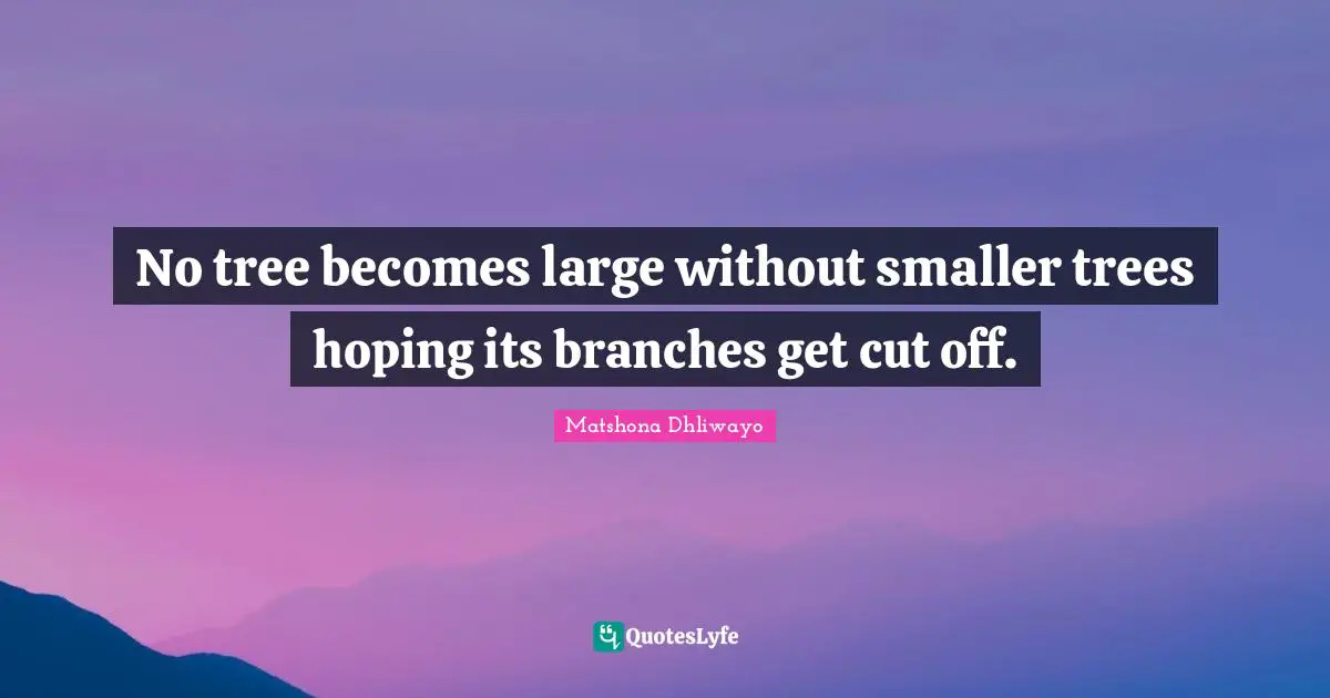 No tree becomes large without smaller trees hoping its branches get cut off.