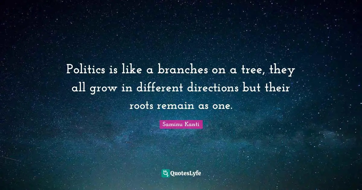 Politics is like a branches on a tree, they all grow in different directions but their roots remain as one.