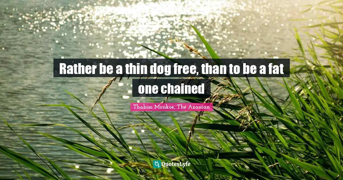Thabiso Monkoe, The Azanian Quotes: "Rather be a thin dog free, than to be a fat one chained"
