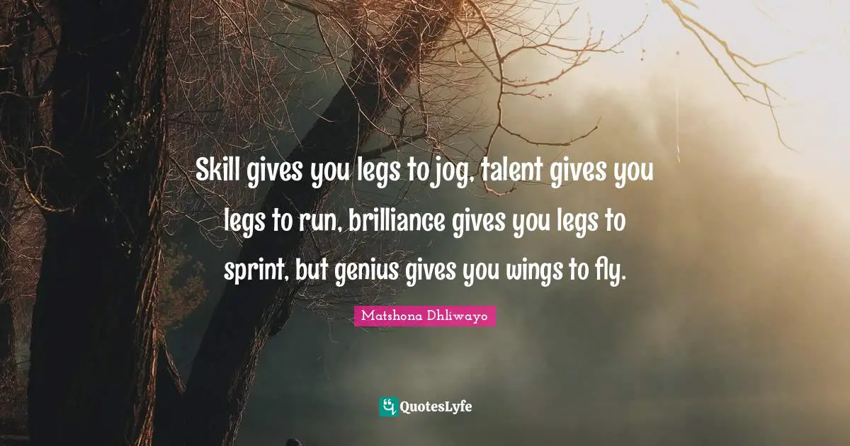 Skill gives you legs to jog, talent gives you legs to run, brilliance gives you legs to sprint, but genius gives you wings to fly.